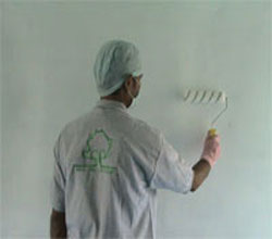 wall paint